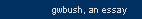 gwbush, an essay