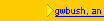 gwbush, an essay (open)