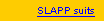 About SLAPP suits