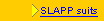 About SLAPP suits (open)