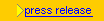 Secret Writer's Society press release (open)